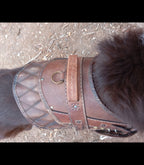 Dog harness leather pattern | Pet armor | DIY instructions