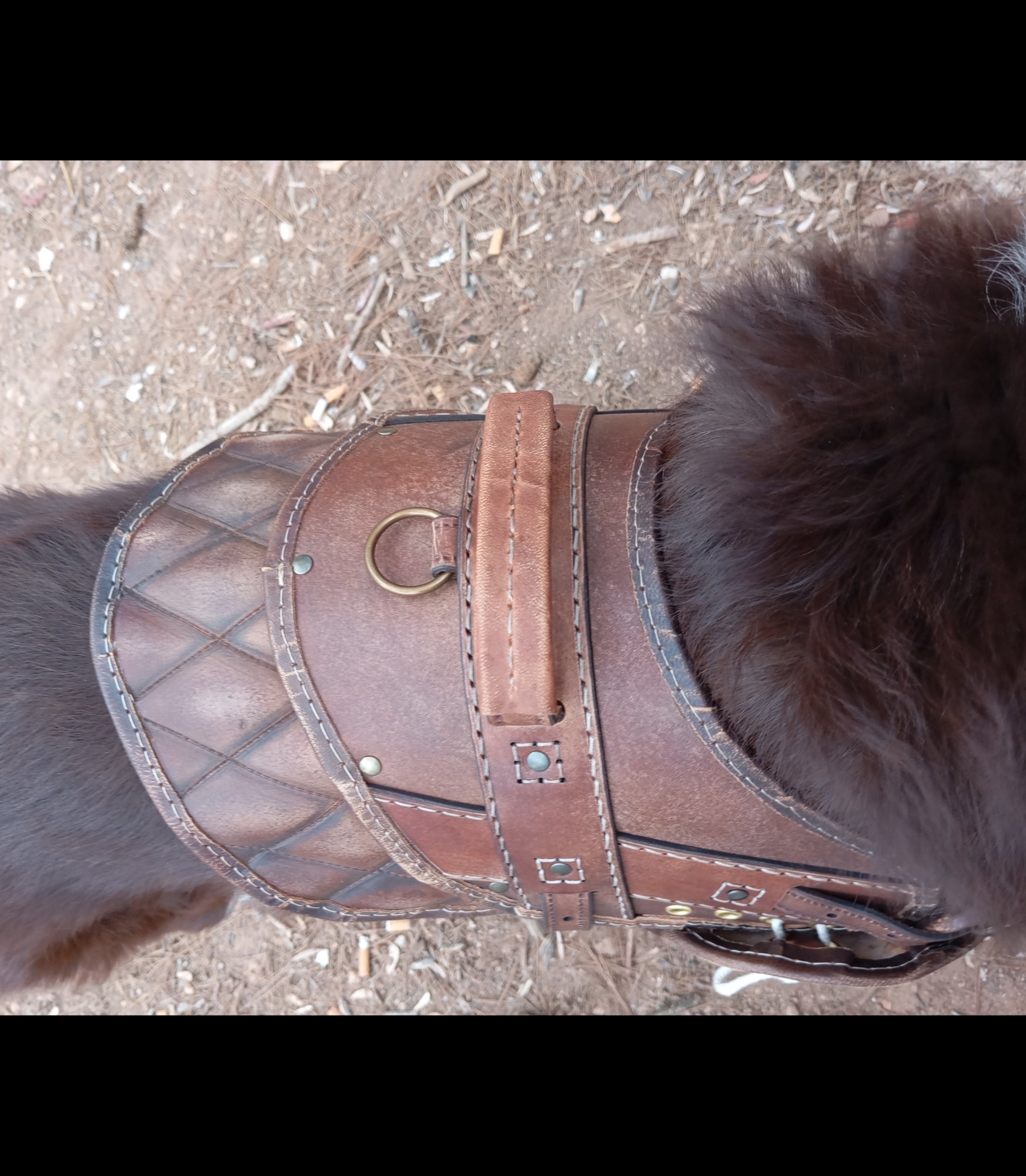Dog harness leather pattern | Pet armor | DIY instructions
