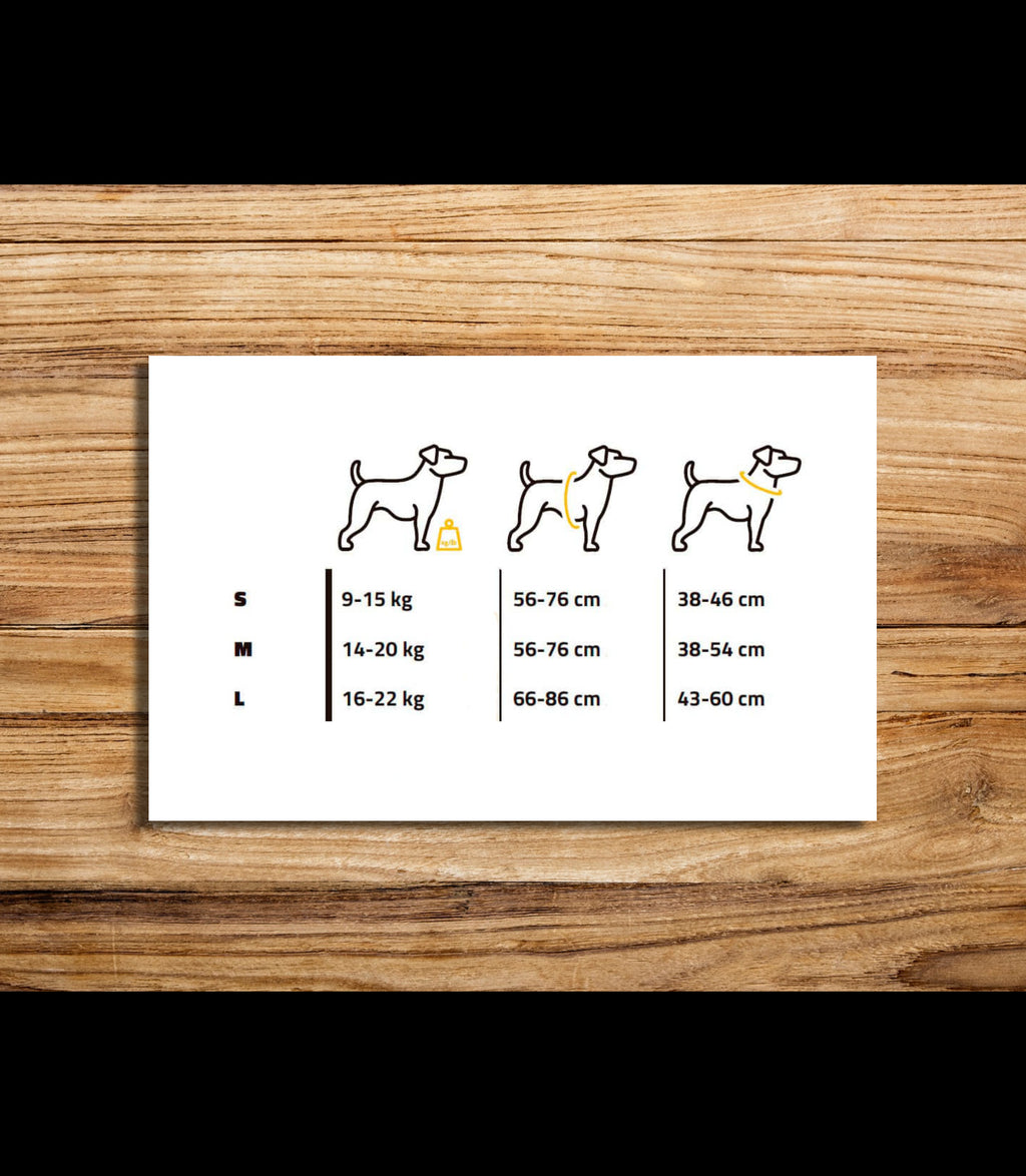 Dog harness leather pattern | Pet armor | DIY instructions