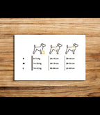 Dog harness leather pattern | Pet armor | DIY instructions
