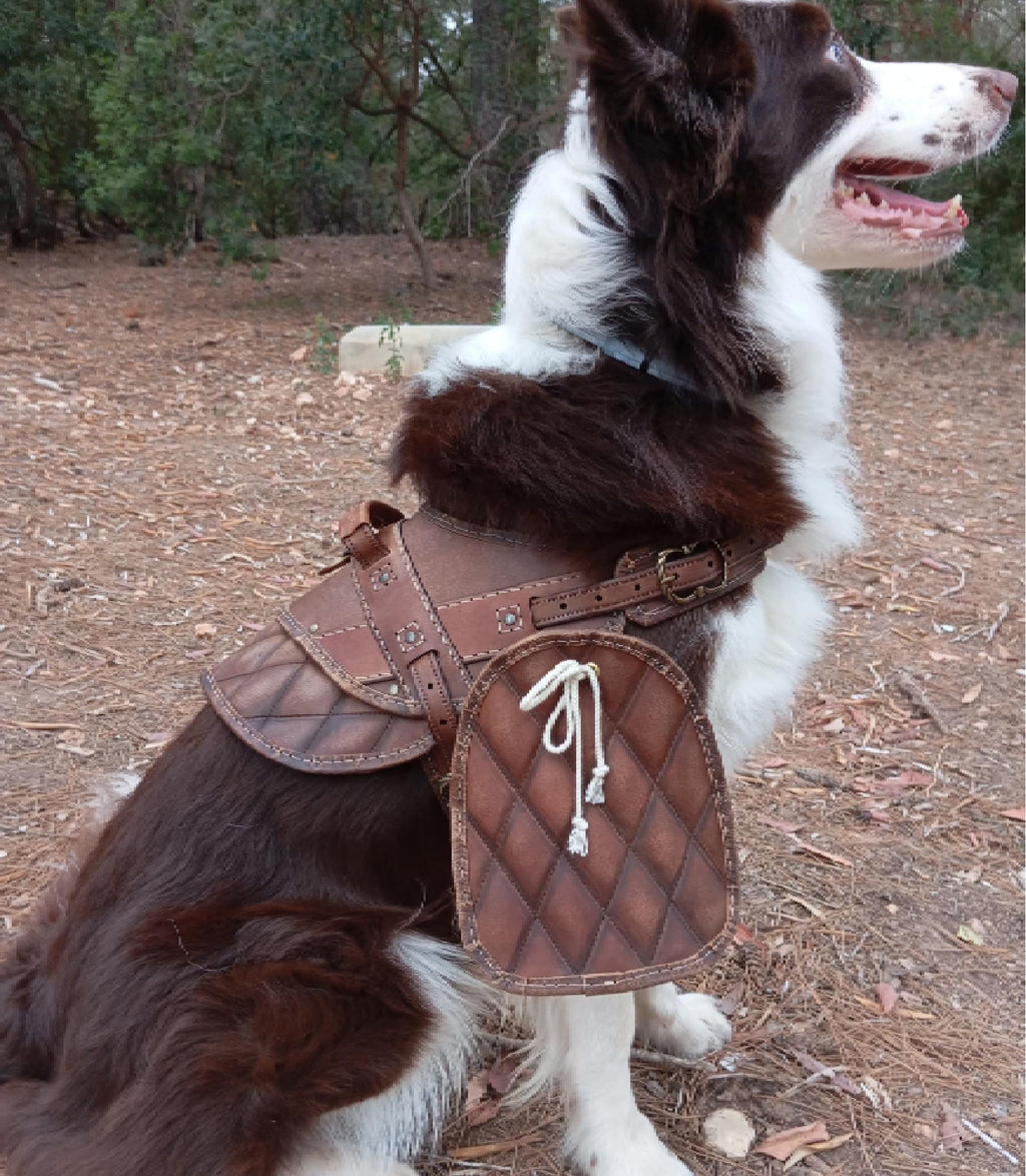 Dog harness leather pattern | Pet armor | DIY instructions