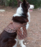 Dog harness leather pattern | Pet armor | DIY instructions