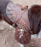 Dog harness leather pattern | Pet armor | DIY instructions