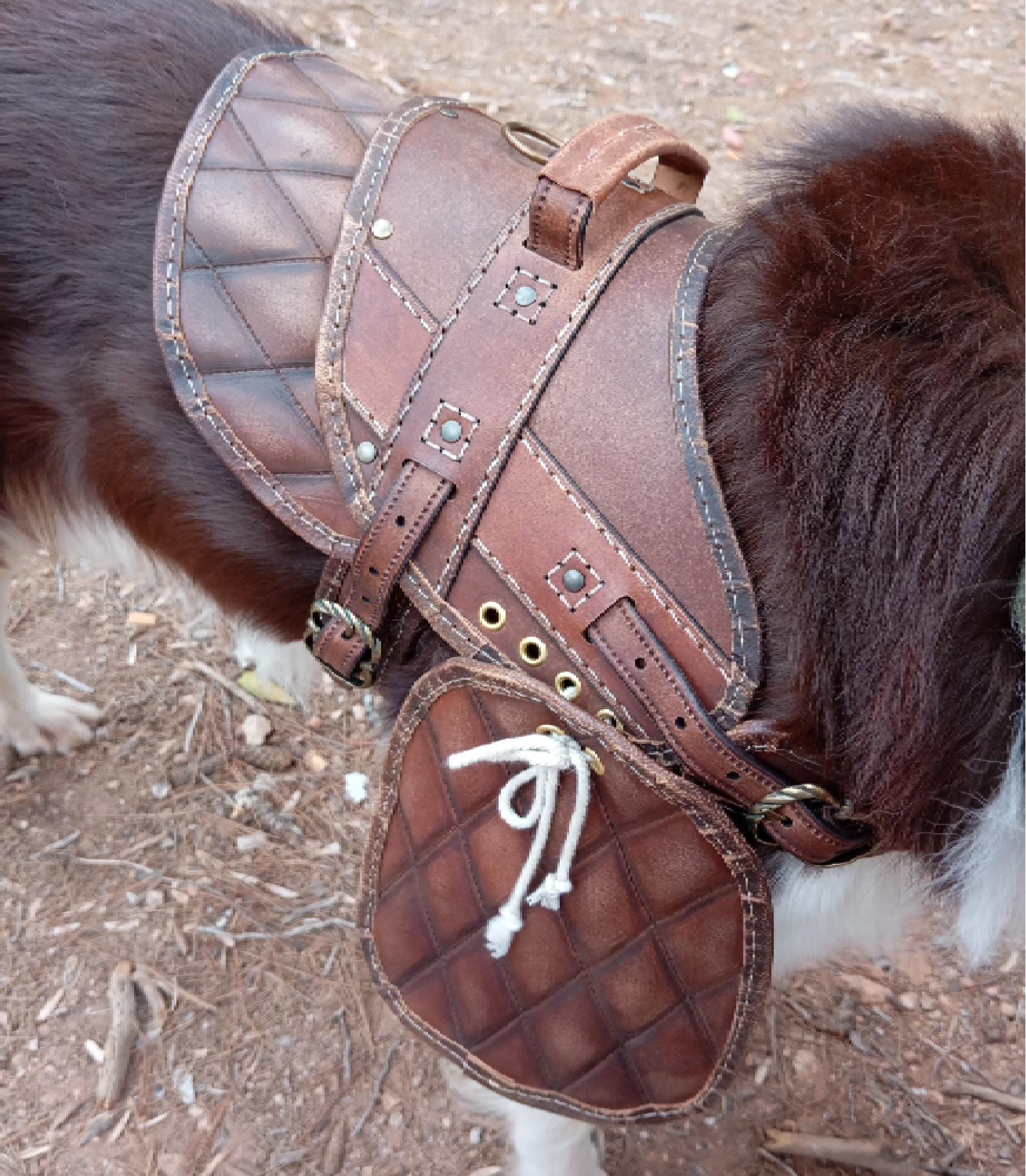 Dog harness leather pattern | Pet armor | DIY instructions
