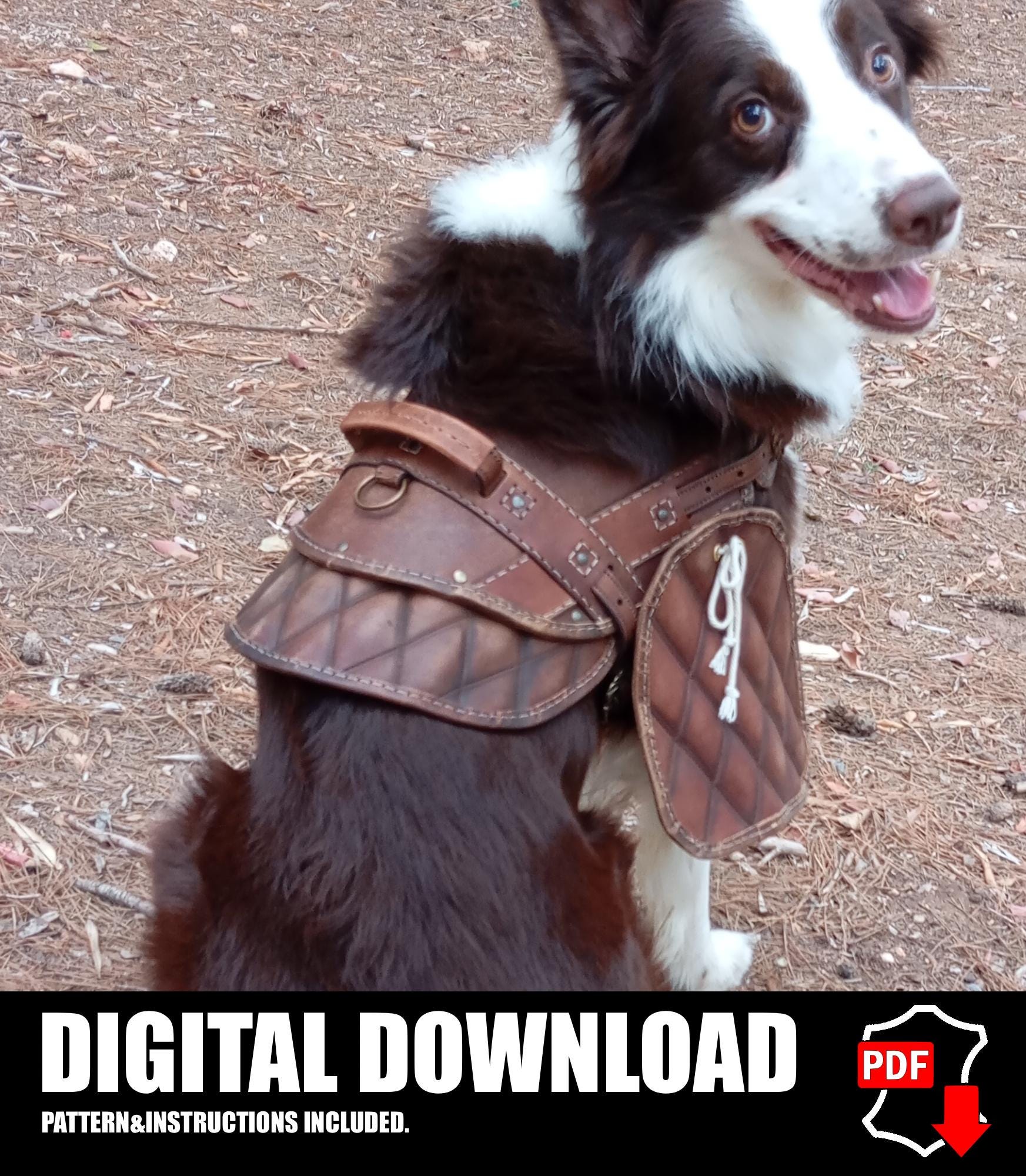 Dog harness leather pattern | Pet armor | DIY instructions