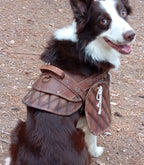Dog harness leather pattern | Pet armor | DIY instructions