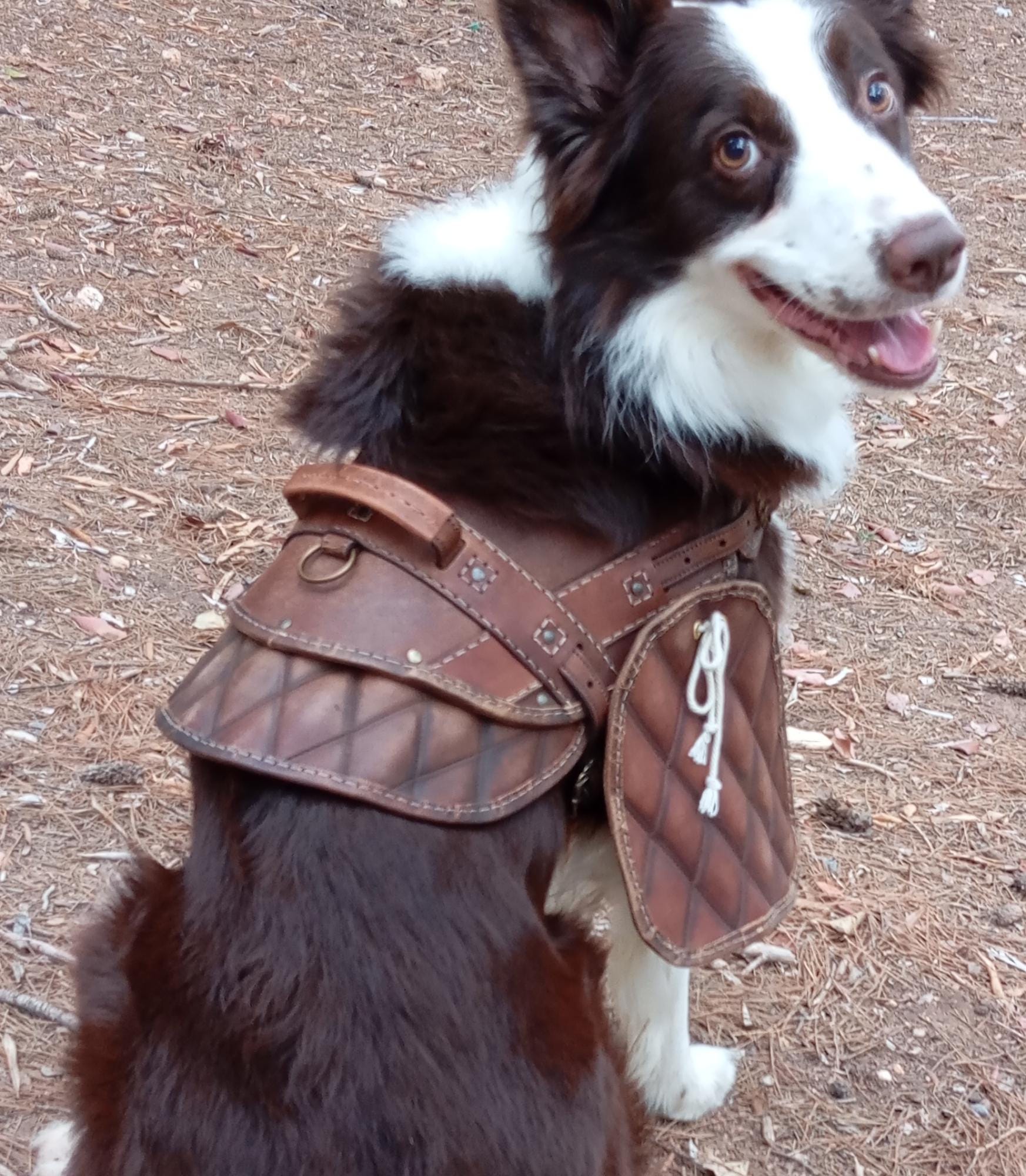 Dog harness leather pattern | Pet armor | DIY instructions